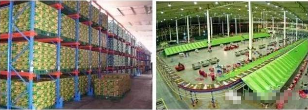 電商物流VS傳統物流,誰更勝一籌?